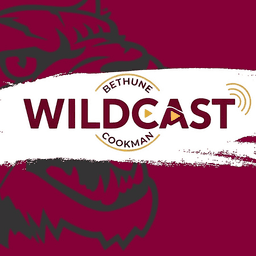 Logo Bethune-Cookman University