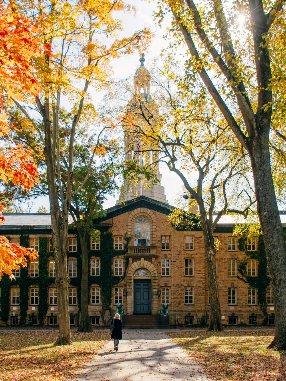 Đại học
