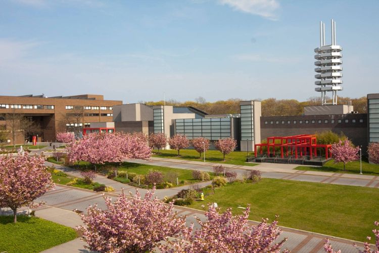 State University of New York, Stony Brook University