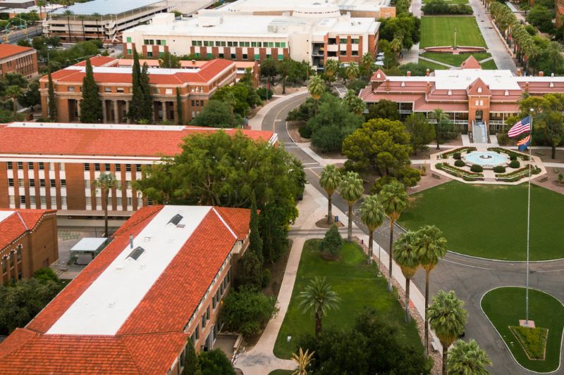 The University of Arizona