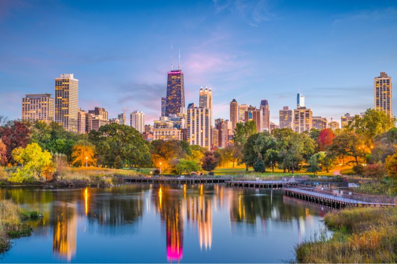các trường đại học ở bang illinois