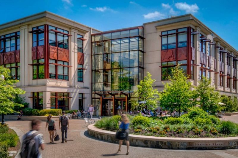 American University