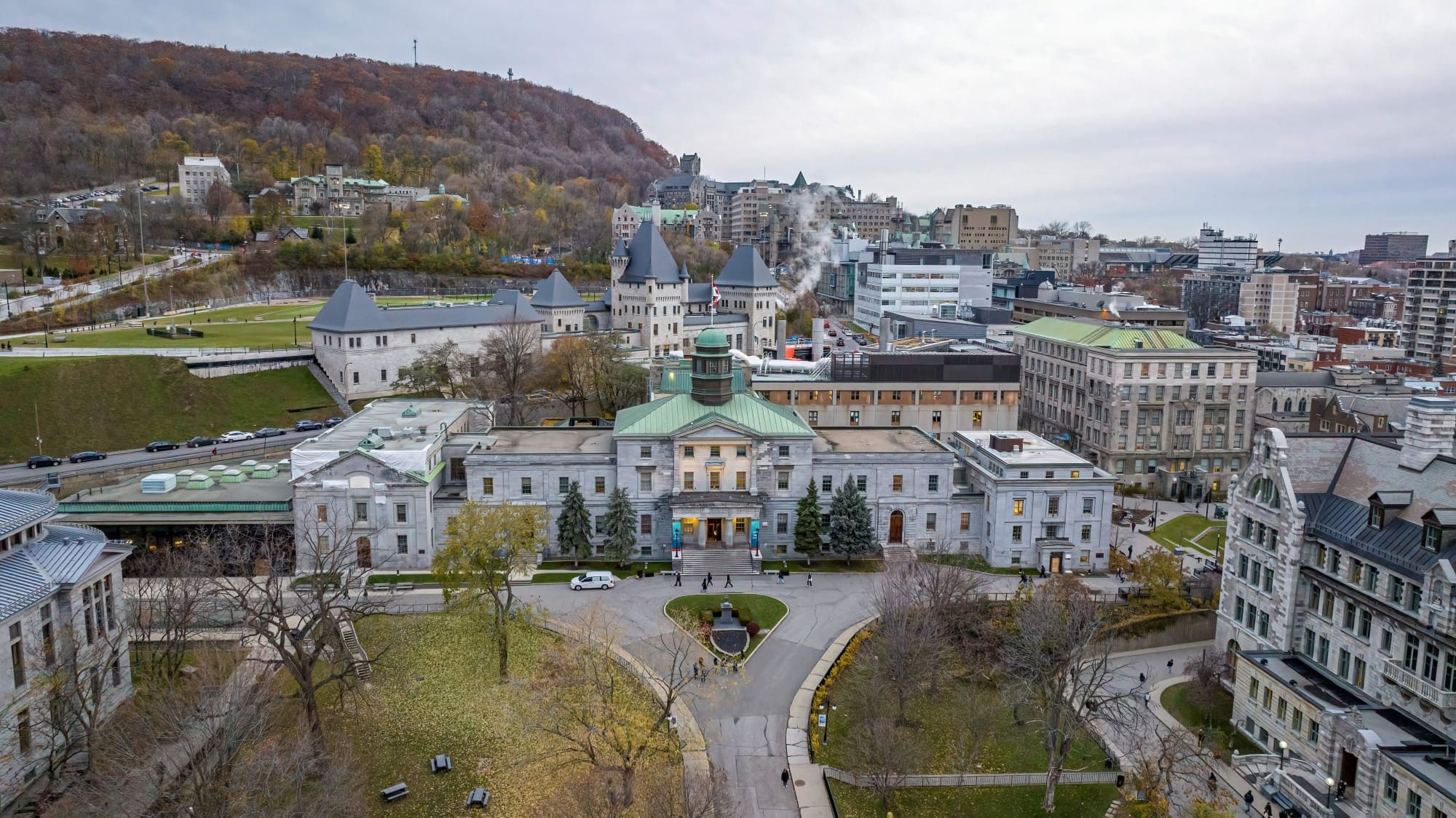 McGill University 