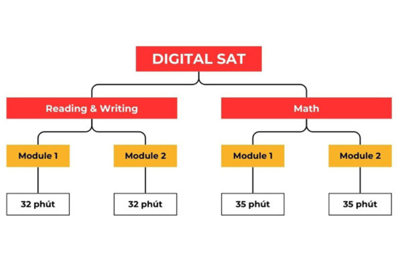 Bài thi Digital SAT