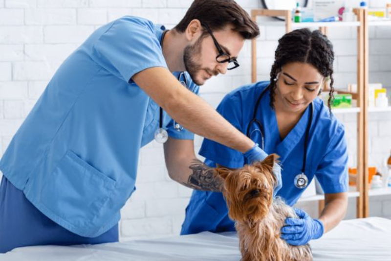 những ngành nghề được ưu tiên định cư tại Mỹ