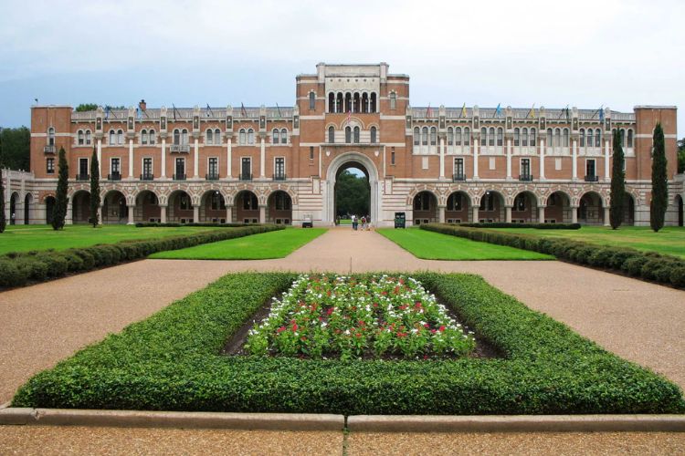 Rice University