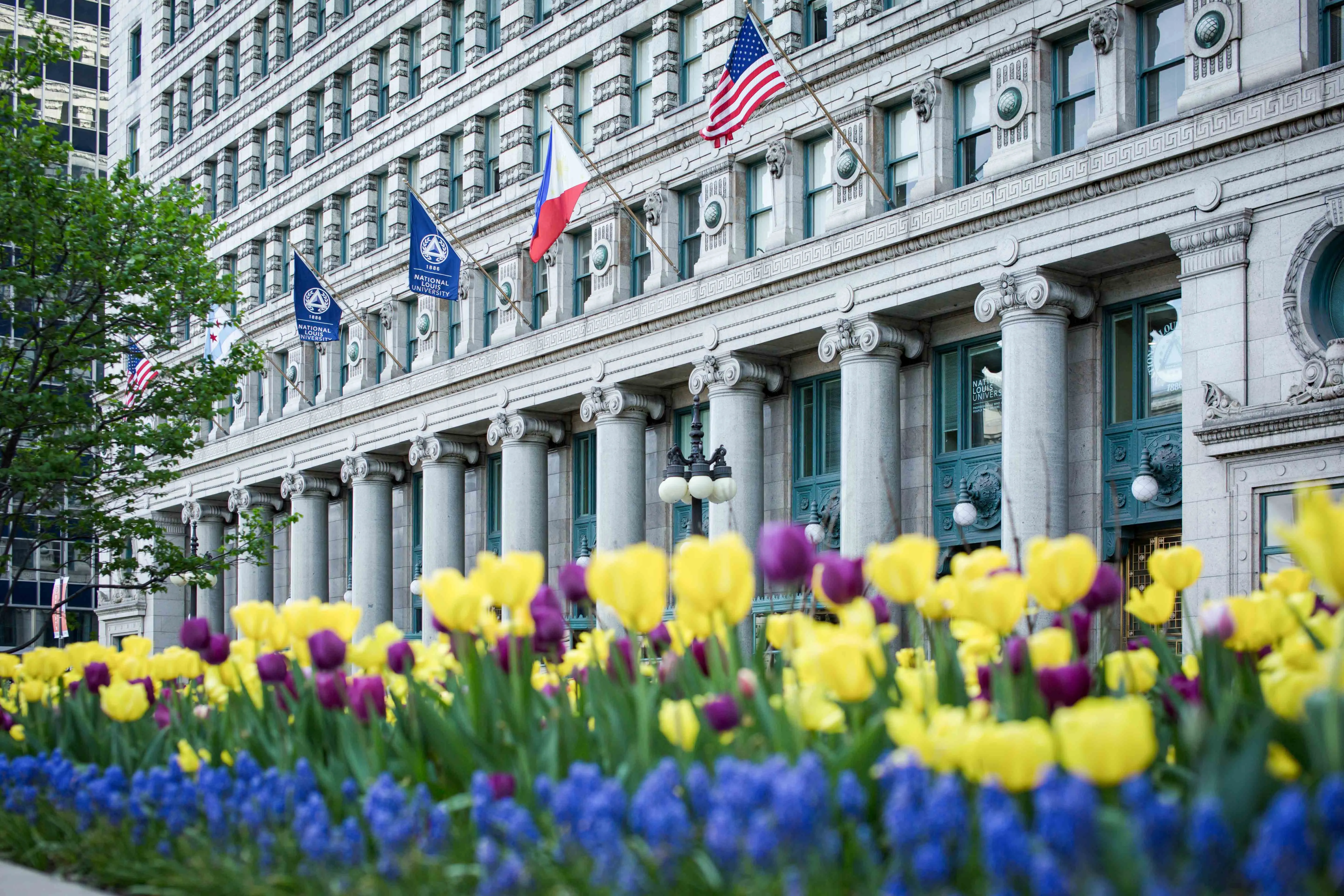 national-louis-university