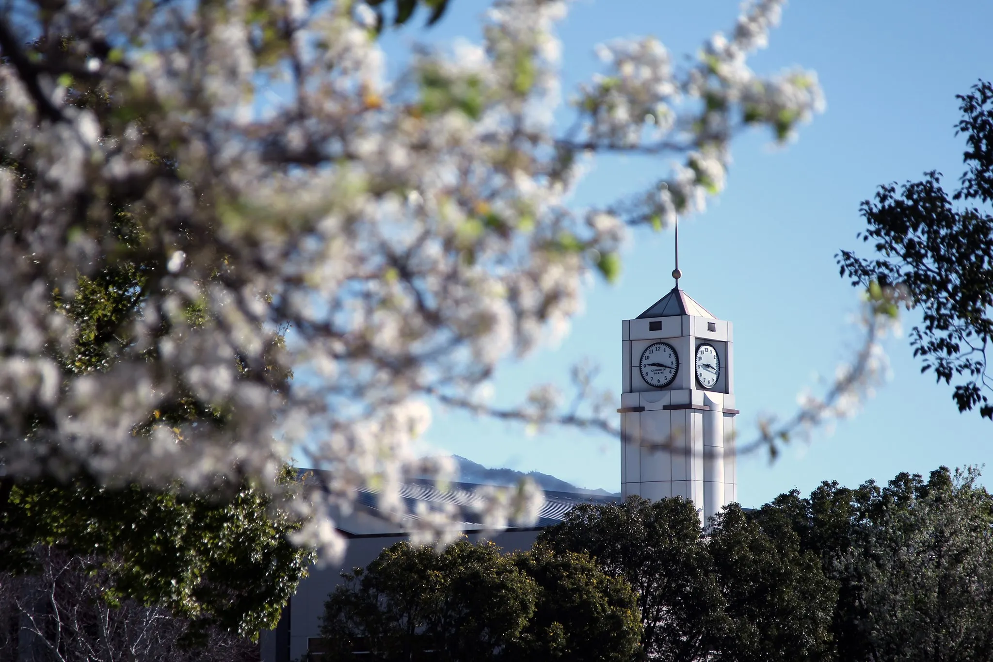 california-state-university-san-bernadino