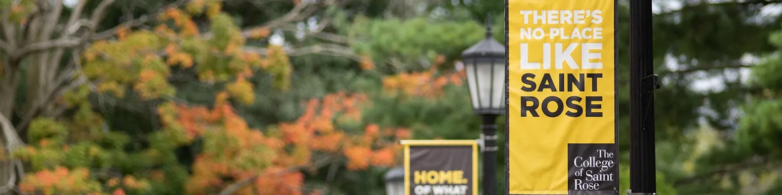 the-college-of-saint-rose