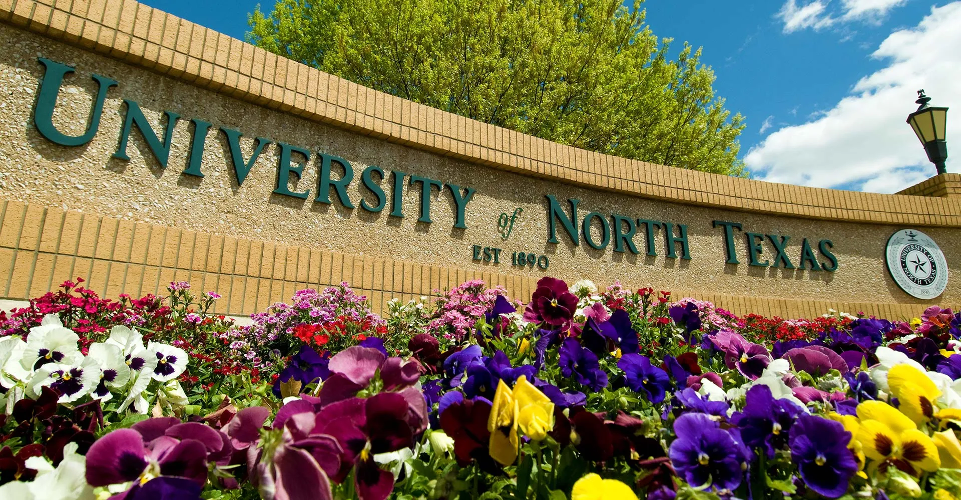 university-of-north-texas