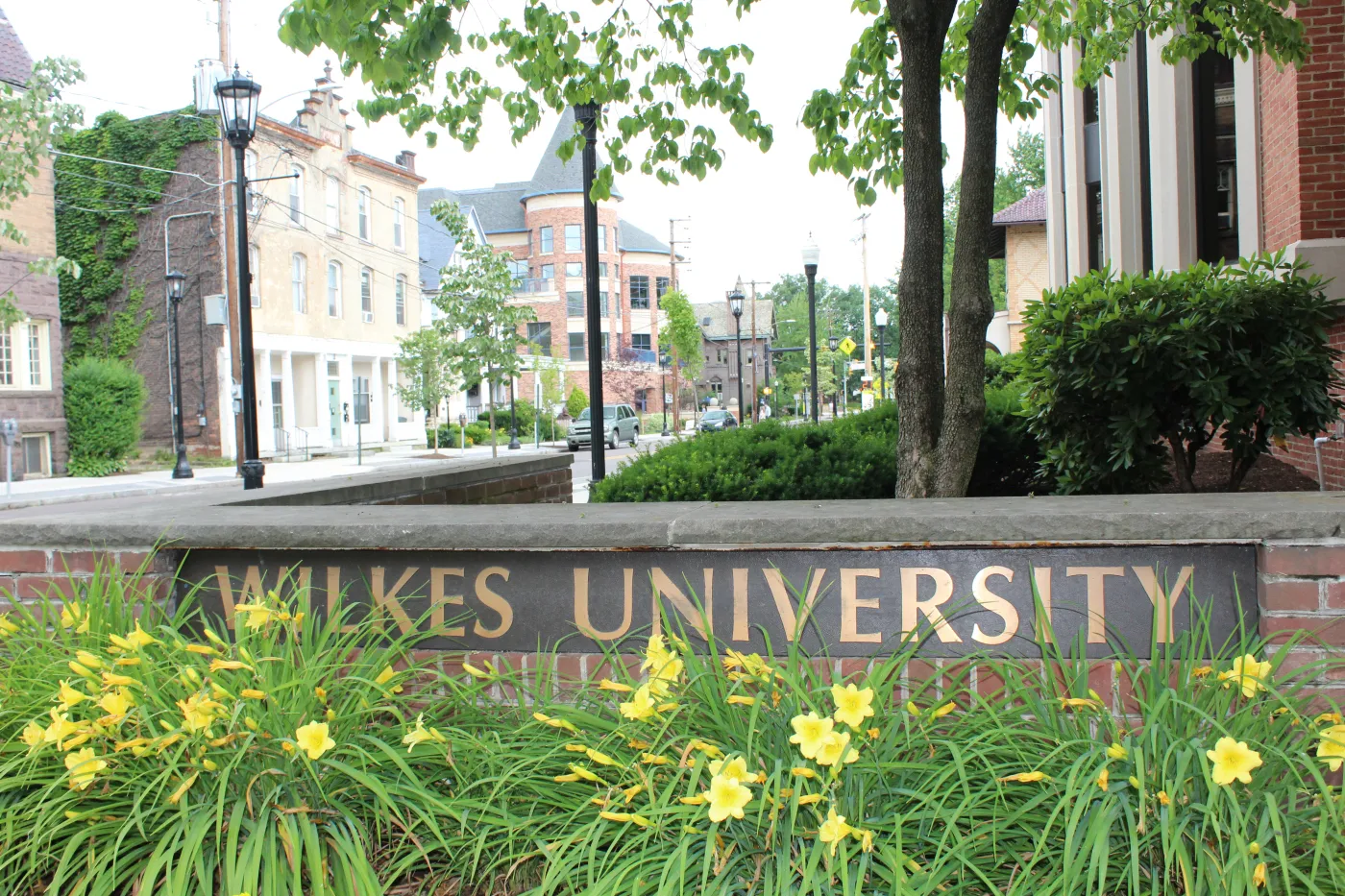 wilkes-university